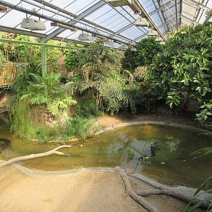Crocodile House - American Alligator Exhibit