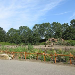 Monkey House - Gelada Exhibit