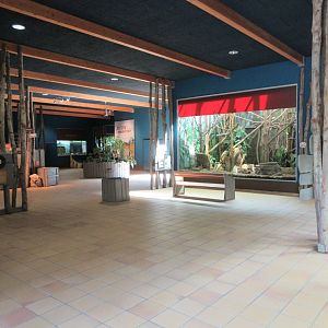 Monkey House - interior