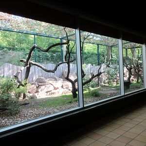 Monkey House - Lemur Exhibit