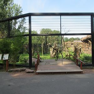 Monkey House - Red Howler/Capuchin/Saki Exhibit