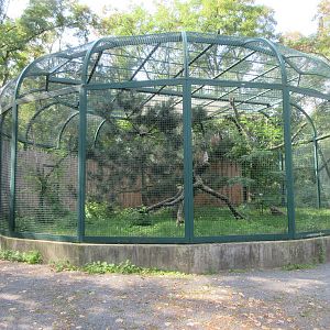 Mountain Landscape - Ural Owl Exhibit