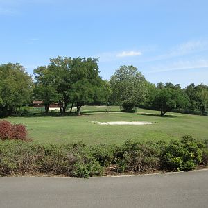 Mountain Landscape - Moose/Mouflon Exhibit