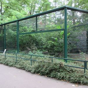 Mountain Landscape - European Wildcat Exhibit