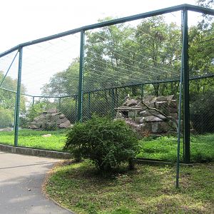 Mountain Landscape - Bearded Vulture Exhibit