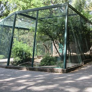 Heron Aviary (4 species)