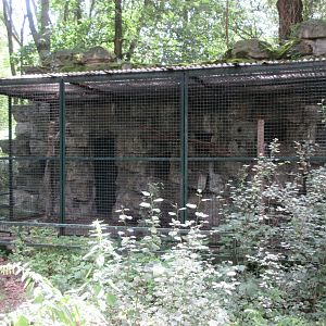 Empty Exhibit (1 of at least 6 in the zoo)