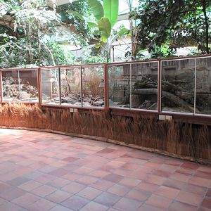 Pachyderm House - Small Mammal Exhibits (3 species)