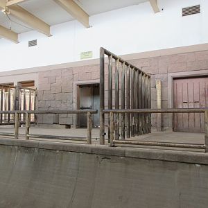 Pachyderm House - African Elephant Indoor Exhibits