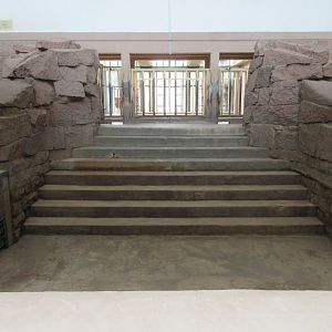 Pachyderm House - African Elephant Indoor Pool