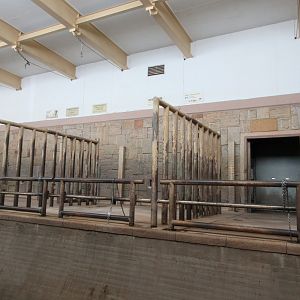 Pachyderm House - Asian Elephant Indoor Exhibits