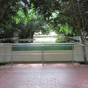 Pachyderm House - Antillean Manatee Exhibit