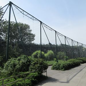 One of the great zoo aviaries!