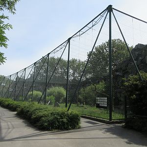 One of the great zoo aviaries!