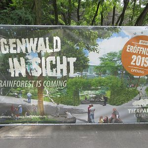 Rainforest House - fully opens in 2020