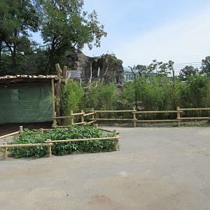 Rainforest House - fully opens in 2020