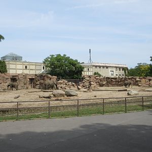 Pachyderm House - African Elephant Exhibits