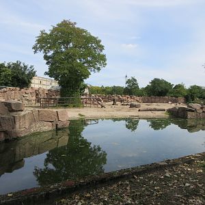 Pachyderm House - African Elephant Exhibit Pool