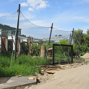 Rainforest House - fully opens in 2020