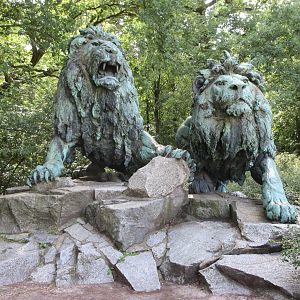 Gorgeous Lion Statues