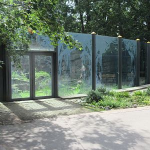 Spectacled Bear Exhibit #2