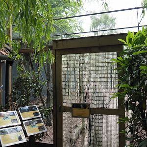 Entrance to walk-through aviary with pheasants, parakeets and a turaco, 2019-05-25