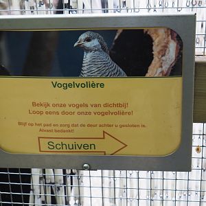 Sign walk-through aviary, 2019-05-25