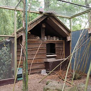 Pheasant and parakeet barn, 2019-05-25