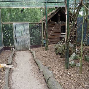 Walk-through aviary with pheasants, parakeets and a turaco, 2019-05-25