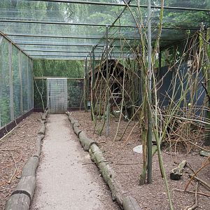 Walk-through aviary with pheasants, parakeets and a turaco, 2019-05-25