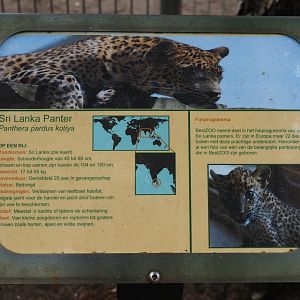 Sign Sri Lankan leopard, 2019-05-25