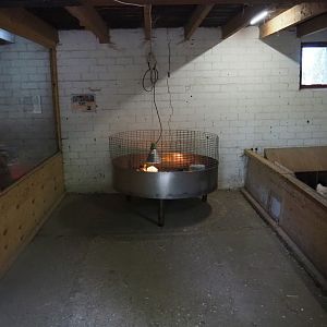 View in the meerkat, rabbit and guinea pig barn, 2019-05-25