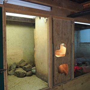 Meerkat indoor exhibits, 2019-05-25