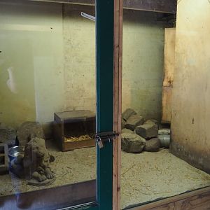 First meerkat indoor exhibit, 2019-05-25