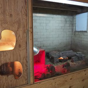 Second meerkat indoor exhibit, 2019-05-25