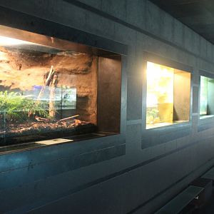 Row of Amphibian-enclosures