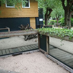 Meerkat exhibit - With play tunnel, 2019-05-25
