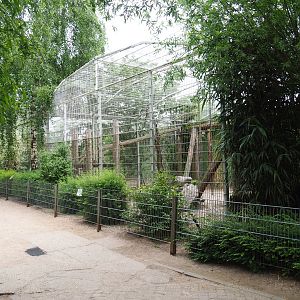 First Sri Lankan leopard exhibit, 2019-05-25