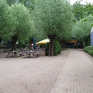 Park view, 2019-05-25