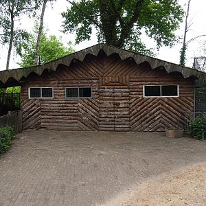 Girgentana goat and alpaca barn, 2019-05-25