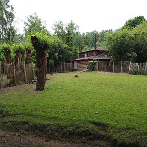 Parma wallaby and black swan exhibit, 2019-05-25