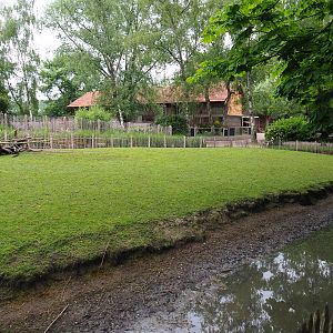 Parma wallaby and black swan exhibit, 2019-05-25