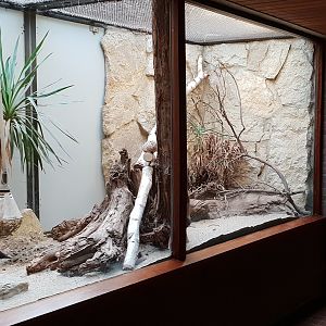Small Mammal House : Row of Gundi-enclosures ( 3 of them ! )