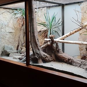 Small Mammal House : First Gundi enclosure