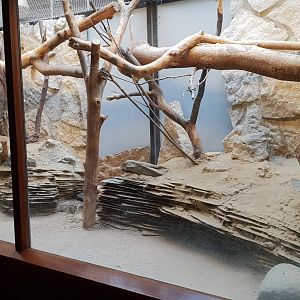 Small Mammal House : Second Gundi enclosure