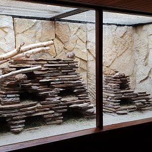 Small Mammal House : third Gundi enclosure