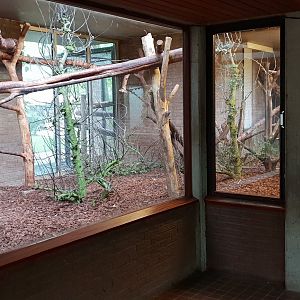Small Mammal House : Former indoor-enclosure Spider monkey - for the moment empty