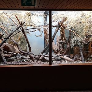 Small Mammal House : Enclosure Prevost squirrel