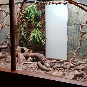 Small Mammal House : Enclosure Southern three-banded armadillo
