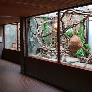 Small Mammal House : Treeshrew - Armadillo - Squirrel enclosures